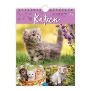 Trötsch Wochenkalender zum Hängen Katzen 2025 de Trötsch Verlag GmbH & Co. KG