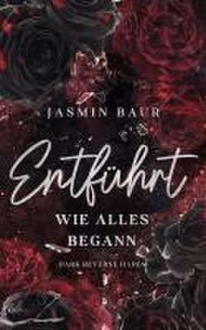 Entführt de Jasmin Baur