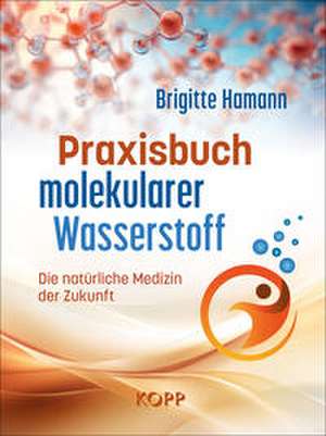 Praxisbuch molekularer Wasserstoff de Brigitte Hamann