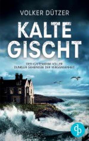Kalte Gischt de Volker Dützer