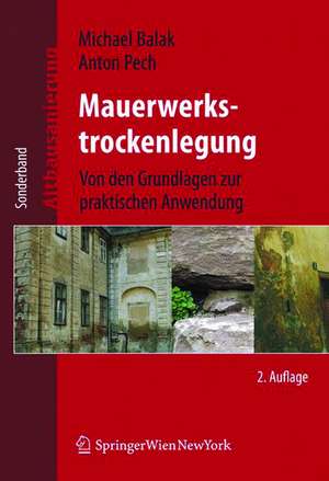 Mauerwerkstrockenlegung: Von den Grundlagen zur praktischen Anwendung de Michael Balak