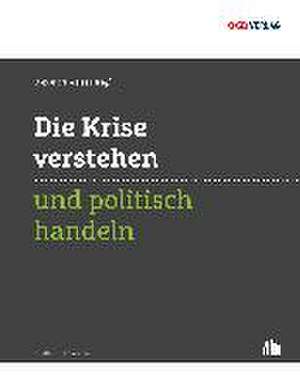 Die Krise verstehen und politisch handeln de Alexandra Weiss