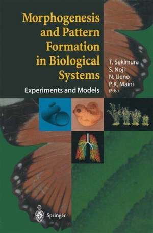 Morphogenesis and Pattern Formation in Biological Systems: Experiments and Models de T. Sekimura