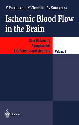 Ischemic Blood Flow in the Brain de Y. Fukuuchi