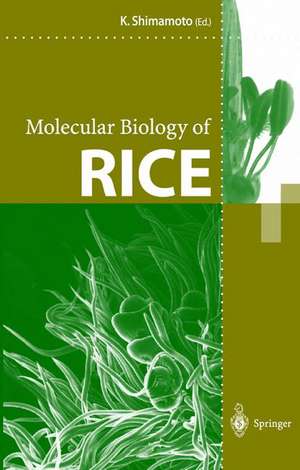 Molecular Biology of Rice de Ko Shimamoto