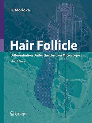 Hair Follicle: Differentiation under the Electron Microscope - An Atlas de K. Morioka