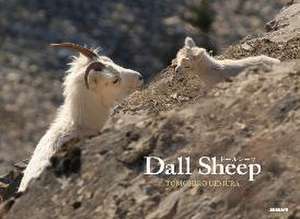 Dall Sheep de Uemura, Tomohiro