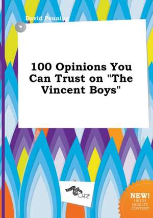 100 Opinions You Can Trust on the Vincent Boys de David Penning