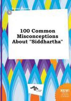 100 Common Misconceptions about Siddhartha de Lucas Penning