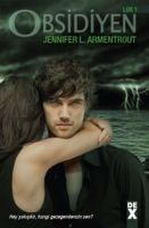 Obsidiyen - Lux 1.Kitap de Jennifer L. Armentrout