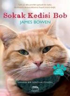 Sokak Kedisi Bob de James Bowen