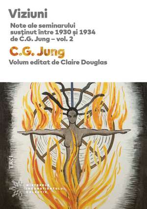 Viziuni: NOTE ALE SEMINARULUI SUSTINUT INTRE 1930 - 1934 DE C.G.JUNG - VOL.2 de CLAIRE DOUGLAS