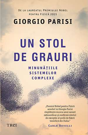 Un stol de grauri. Minunățiile sistemelor complexe de Giorgio Parisi