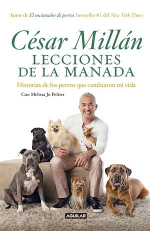 Lecciones de la Manada / Cesar Millan's Lessons from the Pack: Historias de Los Perros Que Cambiaron Mi Vida de Cesar Millan