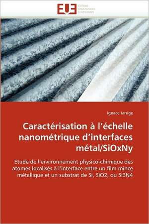 Caracterisation A L Echelle Nanometrique D Interfaces Metal/Sioxny: Territoire, Identite Et Conflits D''Usages de Ignace Jarrige