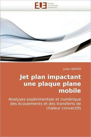 Jet Plan Impactant Une Plaque Plane Mobile: Bases Neurales de Julien Senter