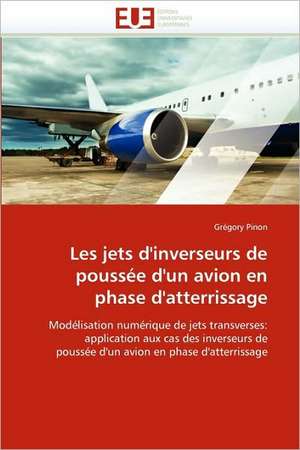 Les jets d'inverseurs de poussée d'un avion en phase d'atterrissage de Grégory Pinon