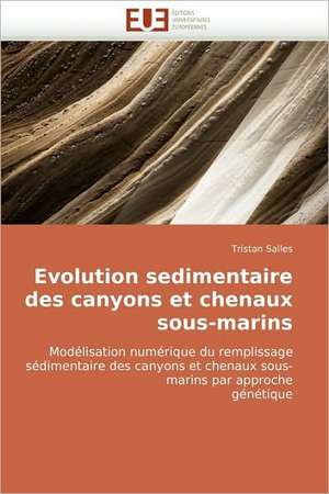 Evolution Sedimentaire Des Canyons Et Chenaux Sous-Marins: Une Etude Semantique de La Totalite de Tristan Salles