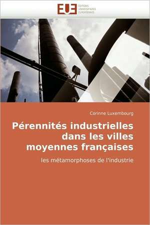 Pérennités industrielles dans les villes moyennes françaises de Corinne Luxembourg