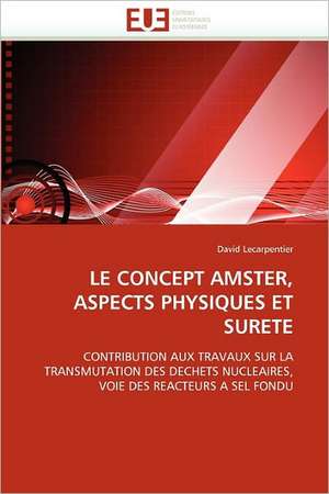 LE CONCEPT AMSTER, ASPECTS PHYSIQUES ET SURETE de David Lecarpentier