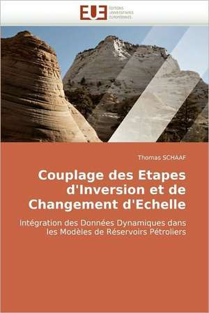 Couplage Des Etapes D''Inversion Et de Changement D''Echelle: Etude Anthropologique de Thomas Schaaf