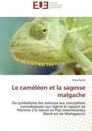 Le caméléon et la sagesse malgache de Enzo Fuchs