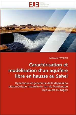 Caracterisation Et Modelisation D Un Aquifere Libre En Hausse Au Sahel: La Douleur Sur Le Ruban de Moebius Du Moi de Guillaume FAVREAU