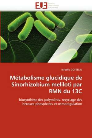 Metabolisme Glucidique de Sinorhizobium Meliloti Par Rmn Du 13c: Crise Japonaise Et Crise Des Dogmes II de Isabelle GOSSELIN