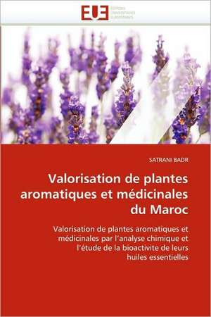 Valorisation de Plantes Aromatiques Et Medicinales Du Maroc: Integration Et/Ou Assimilation? de SATRANI BADR