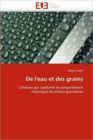 de L''Eau Et Des Grains: Etat Des Lieux Et Defis de Fabien Soulié