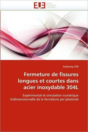 Fermeture de fissures longues et courtes dans acier inoxydable 304L de Kokleang VOR