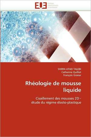 Rheologie de Mousse Liquide: Independance Ou Correspondance de SHIRIN ATAEI TALEBI