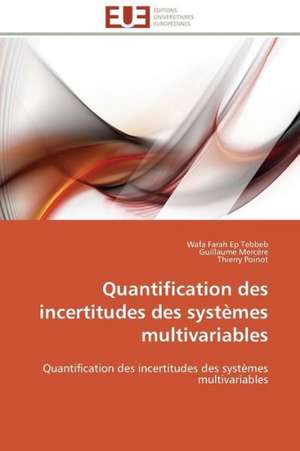 Quantification Des Incertitudes Des Systemes Multivariables: Image, Imaginaire, Societe de Wafa Farah Ep Tebbeb