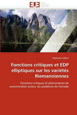 Fonctions Critiques Et EDP Elliptiques Sur Les Varietes Riemanniennes: Quelle Place Pour La Parole de Dieu? de Stephane Collion