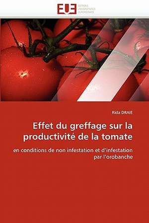 Effet du greffage sur la productivité de la tomate de Rida Draie