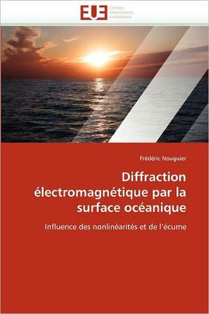 Diffraction électromagnétique par la surface océanique de Frédéric Nouguier