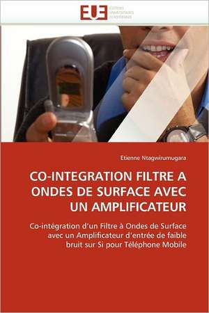 CO-INTEGRATION FILTRE A ONDES DE SURFACE AVEC UN AMPLIFICATEUR de Etienne Ntagwirumugara