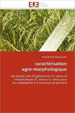 caractérisation agro-morphologique de Yonnelle Déa Moukoumbi