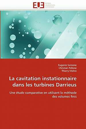 La cavitation instationnaire dans les turbines Darrieus de Eugenio Sansone