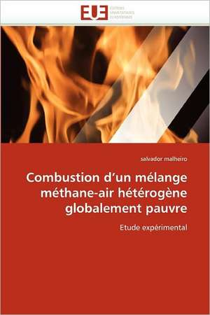 Combustion d'un mélange méthane-air hétérogène globalement pauvre de salvador malheiro