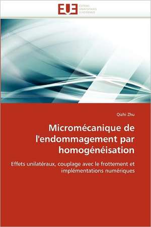 Micromécanique de l''endommagement par homogénéisation de Qizhi Zhu