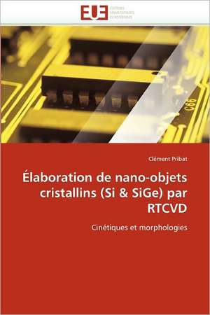 Élaboration de nano-objets cristallins (Si & SiGe) par RTCVD de Clément Pribat