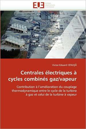 Centrales électriques à cycles combinés gaz/vapeur de Victor-Eduard Cenu¿¿