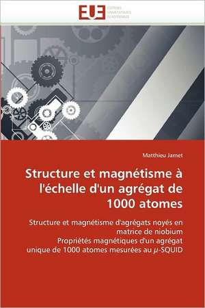 Structure et magnétisme à l''échelle d''un agrégat de 1000 atomes de Matthieu Jamet