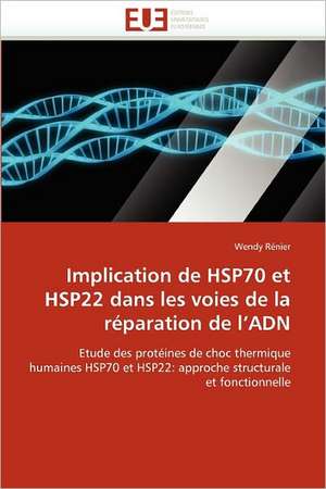 Implication de HSP70 et HSP22 dans les voies de la réparation de l''ADN de Wendy Rénier