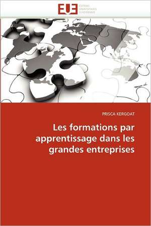 Les Formations Par Apprentissage Dans Les Grandes Entreprises: Quel Consensus? de PRISCA KERGOAT