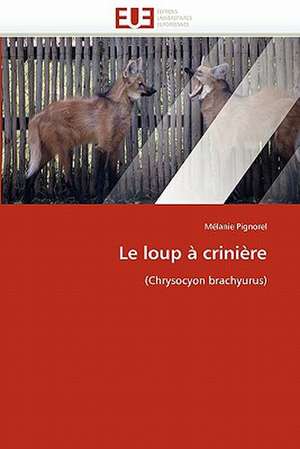 Le loup à crinière de Mélanie Pignorel