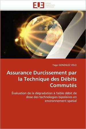 Assurance Durcissement par la Technique des Débits Commutés de Yago Gonzalez Velo