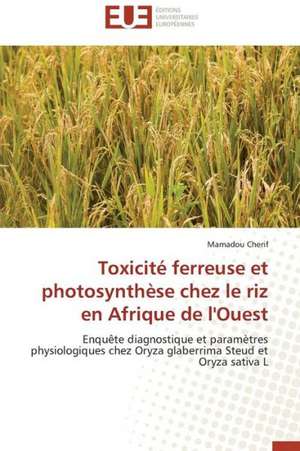 Toxicite Ferreuse Et Photosynthese Chez Le Riz En Afrique de L'Ouest: Etudes de Cas de Mamadou Cherif