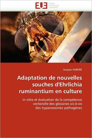 Adaptation de nouvelles souches d'Ehrlichia ruminantium en culture de Jacques Kabore